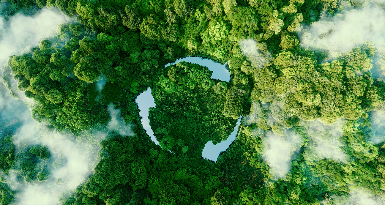 Torne sua empresa eco sustentável reativando seu carvão.